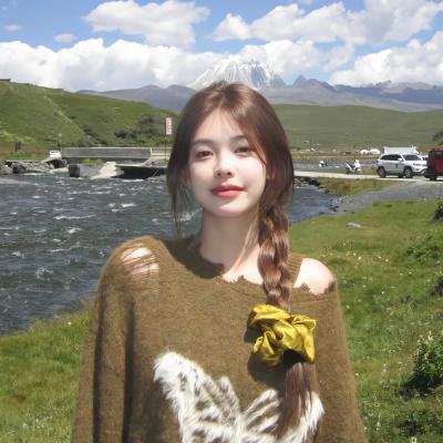 书记日记海报