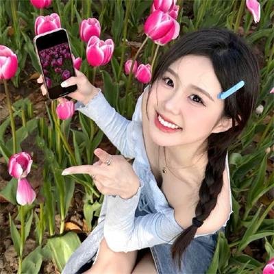风花雪月海报