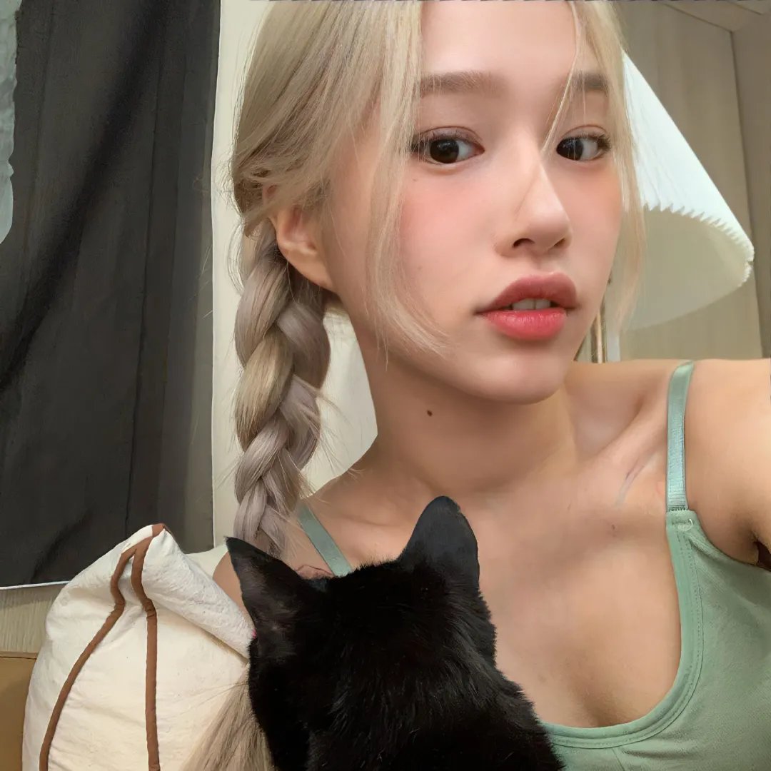 猴子捞月海报